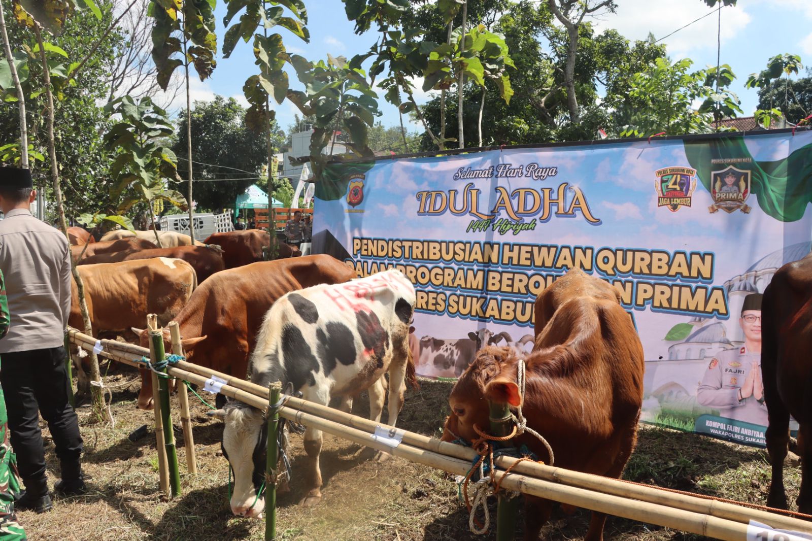 Puluhan hewan qurban yang akan didistribusikan Polres Sukabumi Kota.