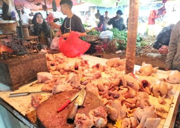 Pasca Idul Adha, Harga Daging Ayam Broiler di Kota Sukabumi Masih Tinggi