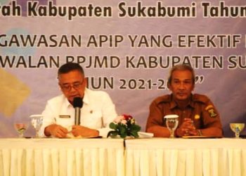 Wabup Sukabumi Ingatkan Hasil Pembinaan dan Pengawasan APIP Maupun BPK-RI Wajib Ditindaklanjuti