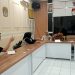 KPU Kota Sukabumi menggelar rapat pleno tertutup tentang penetapan bacalon menjadi paslon Wali Kota dan Wakil Wali Kota Sukabumi pada Pilkada 2024, yang digelar di ruang pertemuan KPU, pada Minggu (22/9/2024).