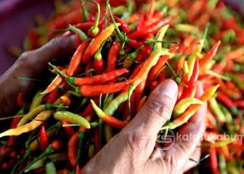 Salah satu komoditas cabai yang di jual di Pasar Kota Sukabumi. Foto: Istimewa.