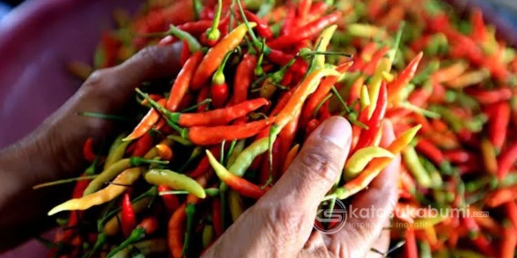 Salah satu komoditas cabai yang di jual di Pasar Kota Sukabumi. Foto: Istimewa.