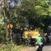 Petugas DPUTR Kota Sukabumi saat melakukan pemangkasan pohon di ruas Jalan Bhayangkara, pada beberapa waktu lalu. Foto: Nuria Ariawan.