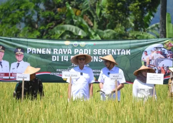 Wali Kota Sukabumi Ayep Zaki, dan Wakil Wali Kota Bobby Maulana, bersama jajaran Forkopimda menghadiri Panen Raya Nasional, pada Senin (7/4/2025). Foto: Humas Pemkot Sukabumi.