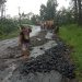 Warga Keluhkan Jalan Rusak Parah di Nyalindung, Lakukan Perbaikan Sementara Secara Swadaya